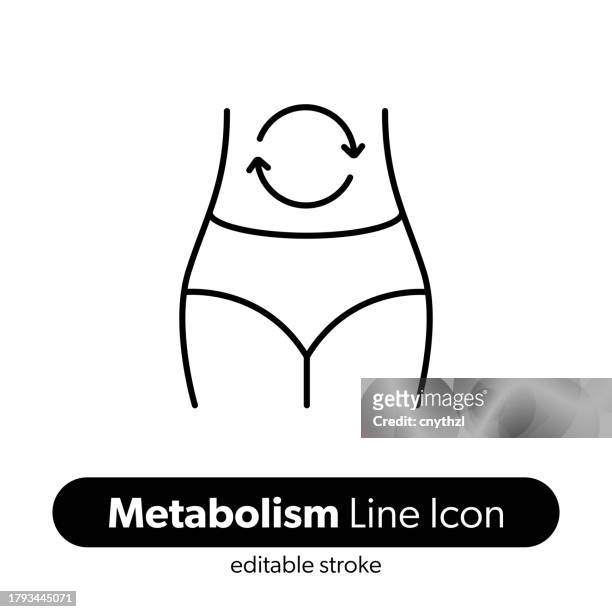 metabolism line icon. editable stroke vector icon. - metabolism stock illustrations