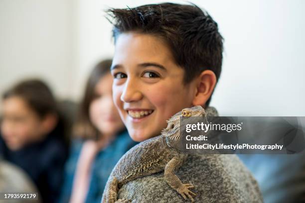 boy and his pet lizard - exotic pets stock pictures, royalty-free photos & images