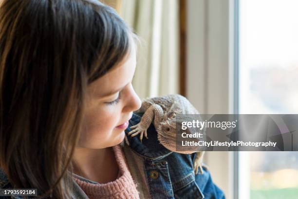 niña y su lagarto mascota - reptil fotografías e imágenes de stock