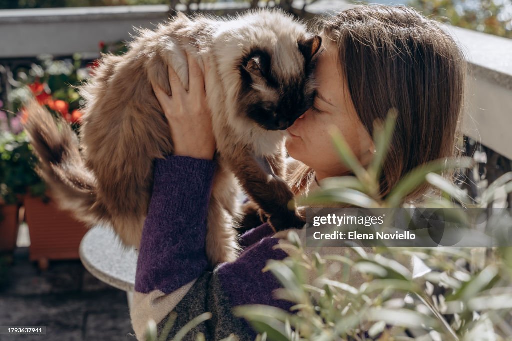 A woman playing with a beautiful domestic cat