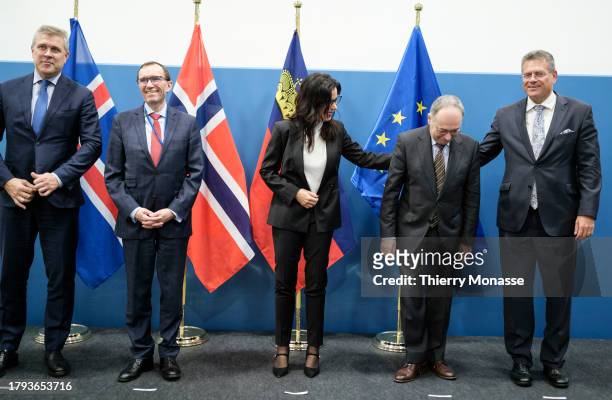 Iceland Minister for Foreign Affairs Bjarni Benediktsson , the Norway Minister of Foreign Affairs Espen Barth Eide, the Liechtensteiner Minister of...