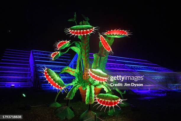 An Illuminated Venus fly-trap entertains visitors as Kew Gardens launch their festive 'Christmas at Kew' light trail at Kew Gardens on November 14,...