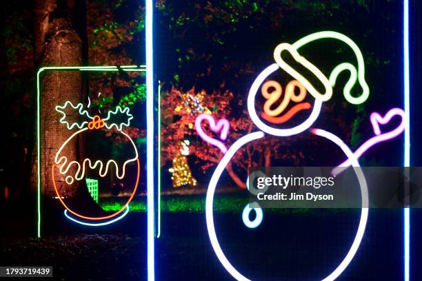 Illuminations entertain visitors as Kew Gardens launch their festive 'Christmas at Kew' light trail at Kew Gardens on November 14, 2023 in London,...