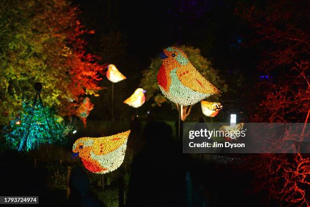 Illuminations entertain visitors as Kew Gardens launch their festive 'Christmas at Kew' light trail at Kew Gardens on November 14, 2023 in London,...