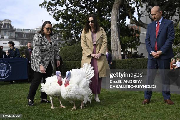The national Thanksgiving turkeys, Liberty and Bell, arrive for a pardoning ceremony on the South Lawn of the White House in Washington, DC on...