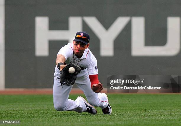 Jacoby Ellsbury of the Boston Red Sox makes a diving catch in the fourth inning against the Detroit Tigers at Fenway Park on September 2, 2013 in...