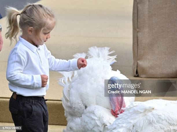President Joe Biden's grandson Beau Biden, son of Hunter Biden, pets a turkey during the annual Thanksgiving Turkey pardon on the South Lawn of the...