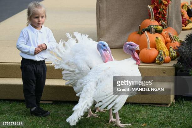 President Joe Biden's grandson Beau Biden, son of Hunter Biden, stands by turkeys during the annual Thanksgiving Turkey pardon on the South Lawn of...