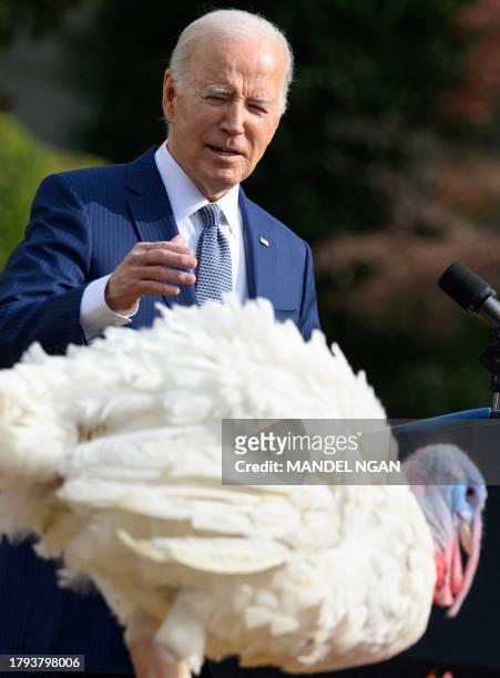 President Joe Biden takes part in the annual Thanksgiving Turkey pardon on the South Lawn of the White House in Washington, DC, on November 20, 2023.