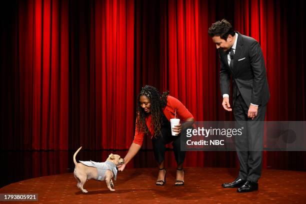Episode 1879 -- Pictured: Chance the dog & dog-owner Niyoka with host Jimmy Fallon during "What's Up Dog?" on Monday, November 20, 2023 --