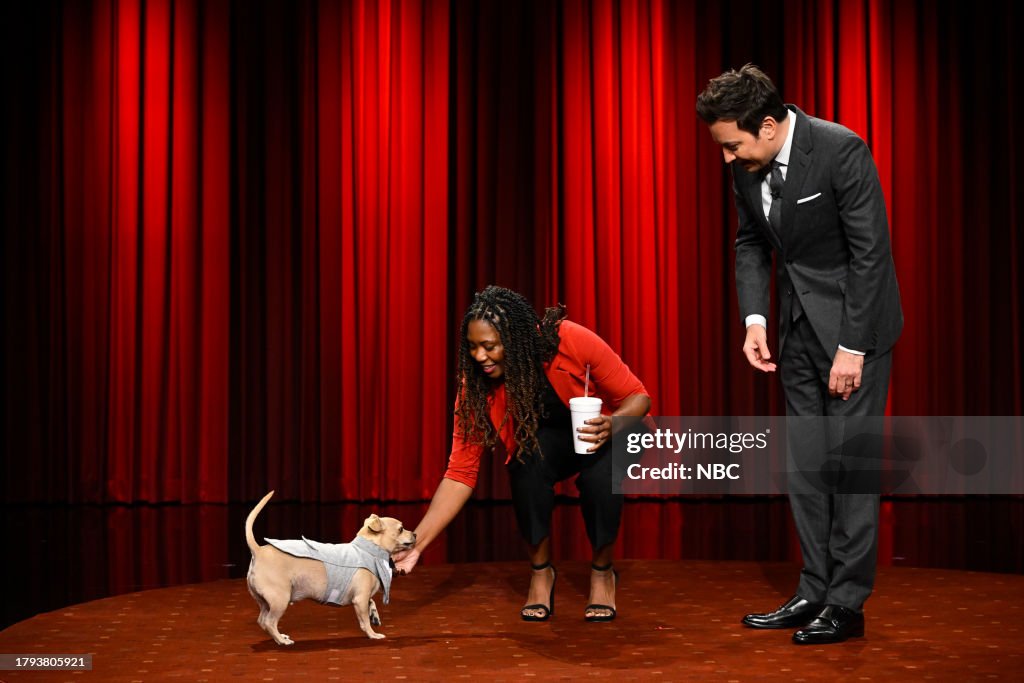 The Tonight Show Starring Jimmy Fallon - Season 11