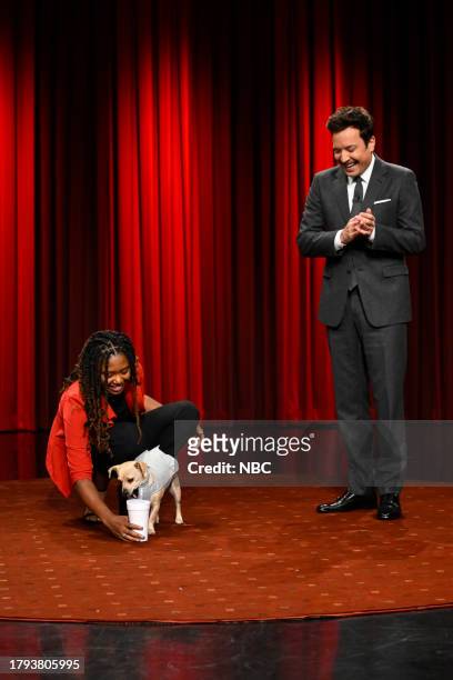 Episode 1879 -- Pictured: Dog-owner Niyoka, Chance the dog, and host Jimmy Fallon during "What's Up Dog?" on Monday, November 20, 2023 --