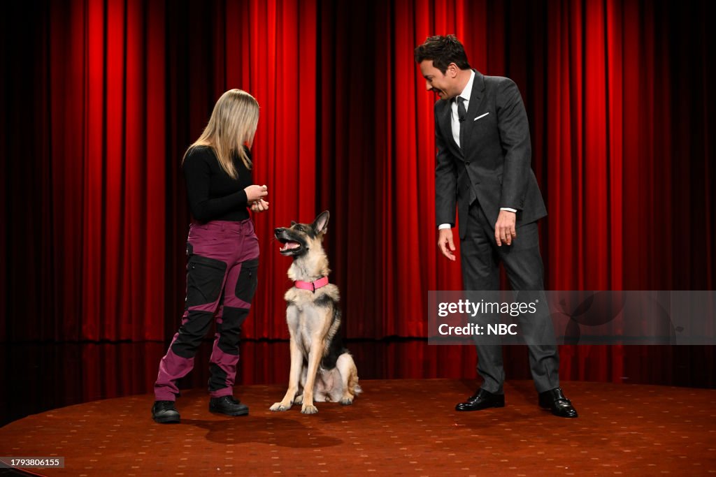 The Tonight Show Starring Jimmy Fallon - Season 11