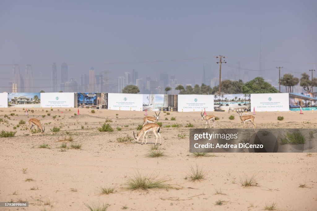 Dubai Tries To Balance Water Resources With Demand In An Arid Landscape