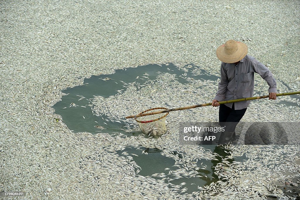 CHINA-POLLUTION-WATER