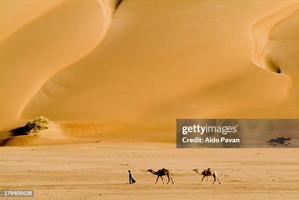 man with two camels near a dune - mauritania stock pictures, royalty-free photos & images