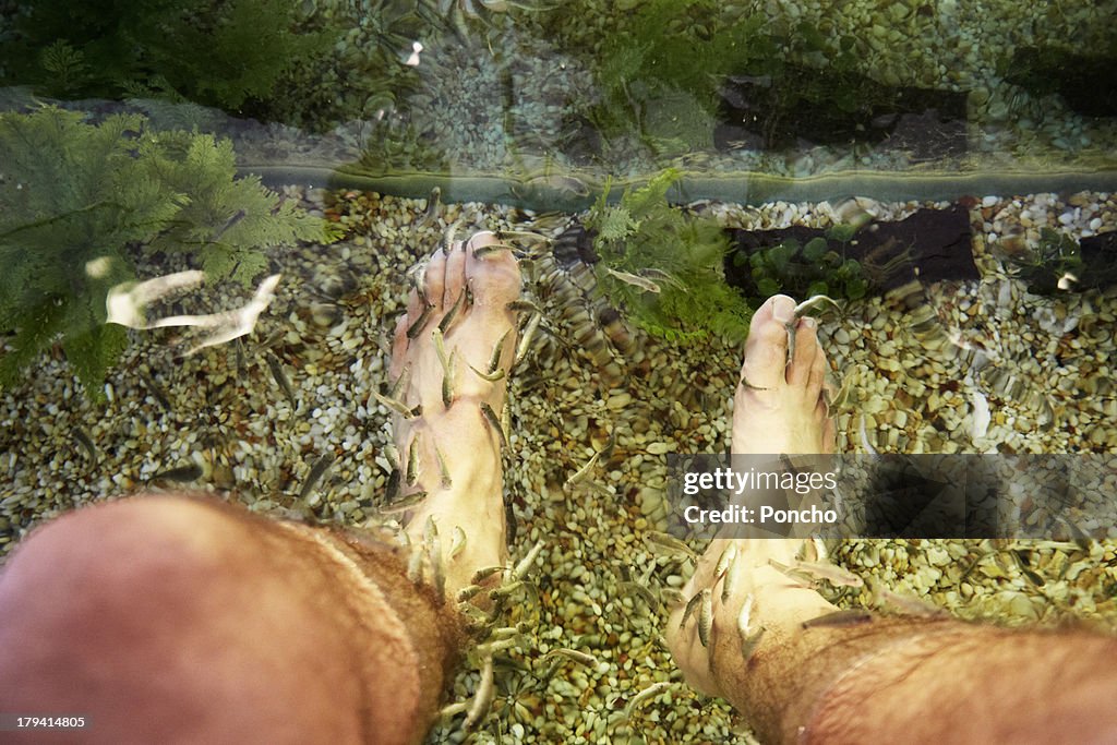 Man in a fish spa holding feet in the water