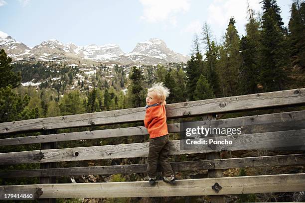 boy climbing on a wood fence - martell valley italy stock pictures, royalty-free photos & images