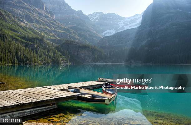 lake o'hara sunrise - lago o'hara foto e immagini stock