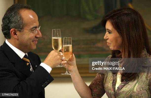 Mexican President Felipe Calderon and his Argentine counterpart Cristina Fernandez de Kirchner make a toast during a lunch at San Martin Palace in...