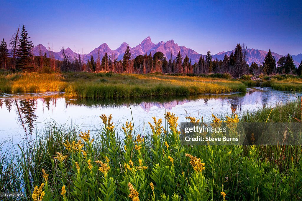 Teton Sunrise