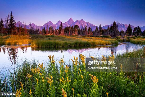 teton sunrise - grand teton bildbanksfoton och bilder