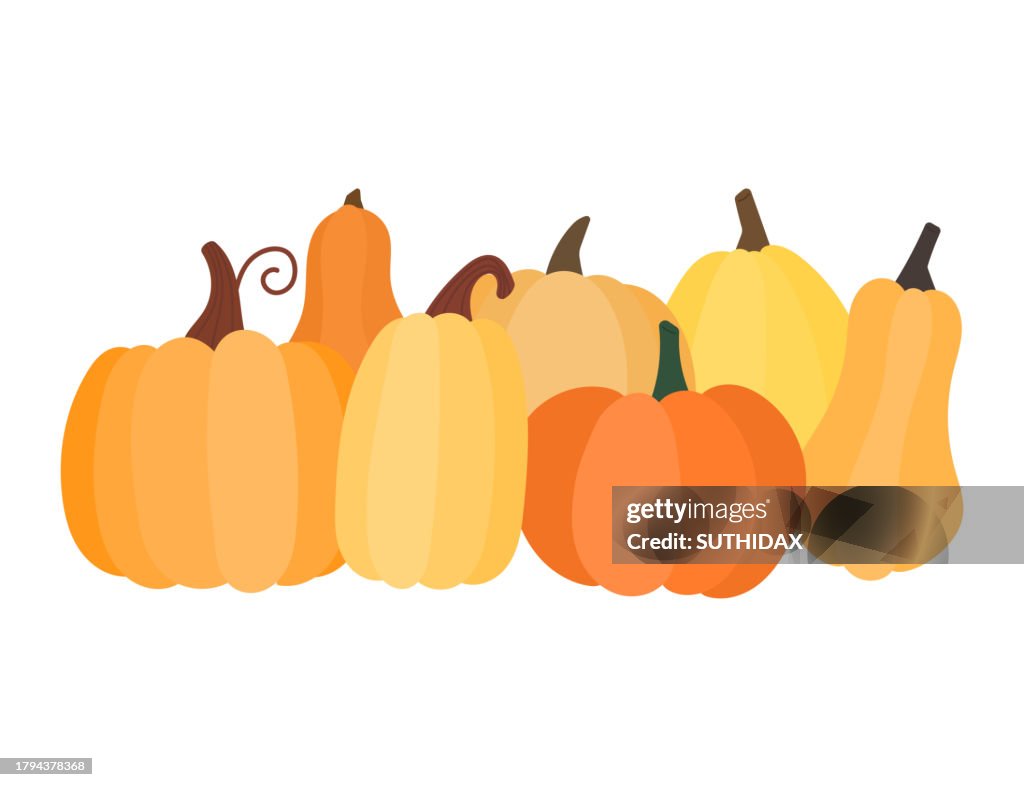 Illustration gathering seven pumpkins thanksgiving day
