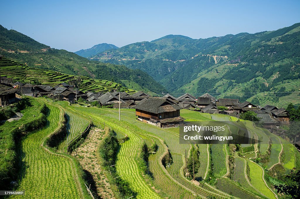 Chinese Miao village in the rice terraces,Guizhou