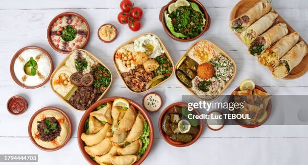 assortment of lebanese dishes - cucina del medio oriente foto e immagini stock
