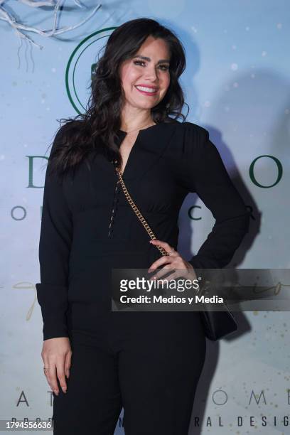 Luz Elena Gonzalez poses for a photo during the Cristmas tree lighting event by Verde Hoja Home and Decor on November 14, 2023 in Mexico City, Mexico.
