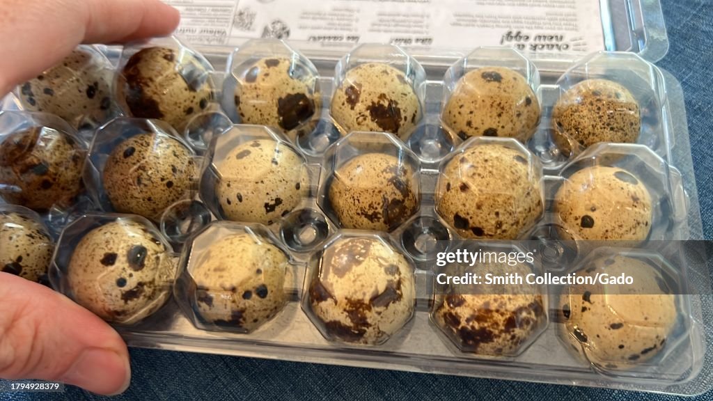 Quail Eggs Packaging
