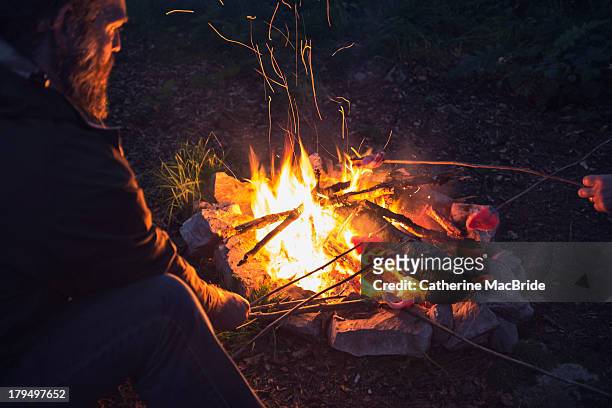 cooking by campfire... - catherine macbride stock pictures, royalty-free photos & images