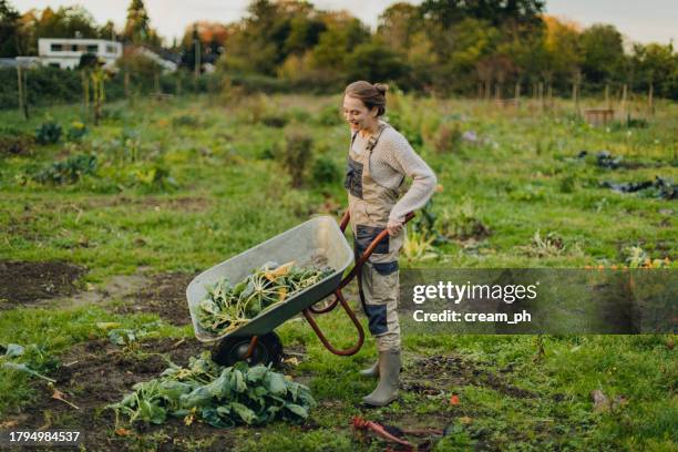 mujer recogiendo platos para una pila de compost con un carro de jardín - self sufficiency fotografías e imágenes de stock