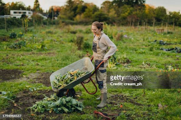 woman gathering plats for a compost pile with a garden cart - autarkie stockfoto's en -beelden