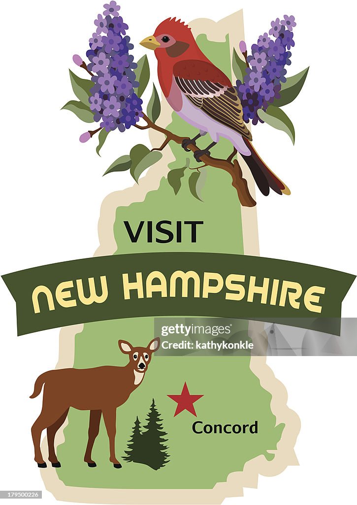 New Hampshire viagens ou adesivo etiqueta de bagagem