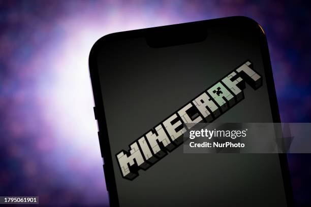 The Minecraft logo is seen in this illustrtion photo taken in Warsaw, Poland on 21 November, 2023.