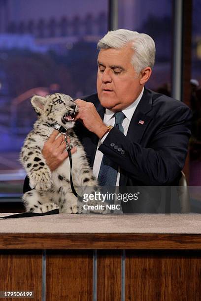 Episode 4518 -- Pictured: Host Jay Leno with a baby snow leopard on August 29, 2013 --