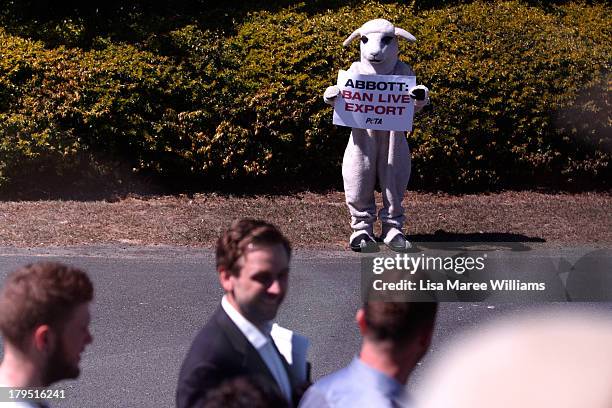 Lone PETA protester stands outside of Packer Leather on September 5, 2013 in Brisbane, Australia. The Liberal-National Party coalition are releasing...