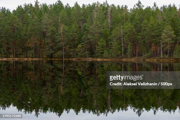 scenic view of lake in forest against sky,harju,estonia - estland stock-fotos und bilder