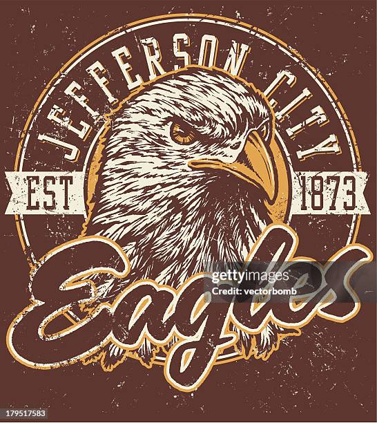retro eagles mascot design - bald eagle head stock illustrations