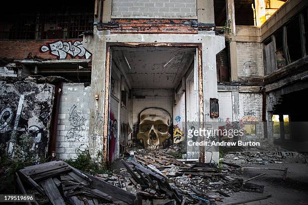 Ruins at the abandoned Packard Automotive Plant are seen on September 4, 2013 in Detroit, Michigan. The Packard Plant was a 3.5 million square foot...