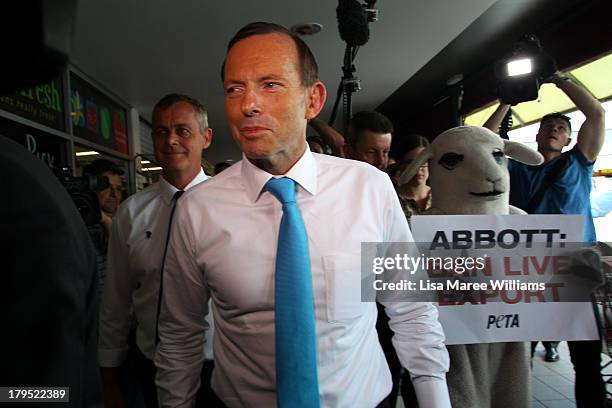 Australian Opposition Leader, Tony Abbott is followed by a PETA protester at Stafford Heights on September 5, 2013 in Brisbane, Australia. The...