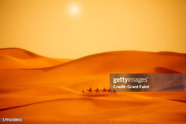 tourist camel train - dromedaris stockfoto's en -beelden