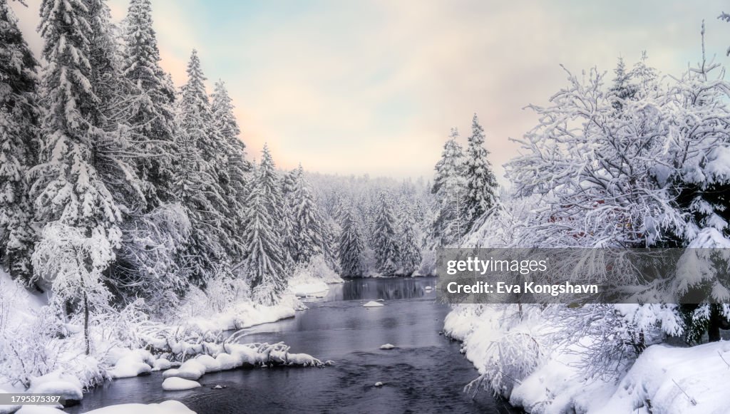 Pastel winterwonderland with reflections in the water
