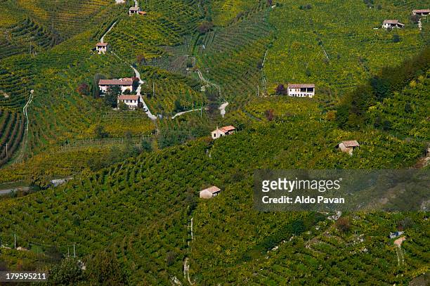 italy, farra di soligo, vineyards - venezien stock-fotos und bilder