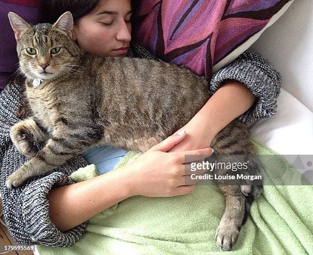 teenage girl and tabby cat - big hug stock pictures, royalty-free photos & images