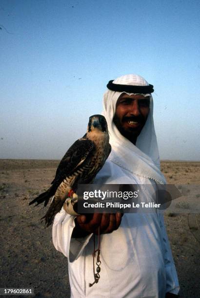 Breeding hawks in Abu Dhabi in the United Arab Emirates in 1987. Elevage de faucon a Abou Dhabi dans les émirats arabes unis en 1987. .