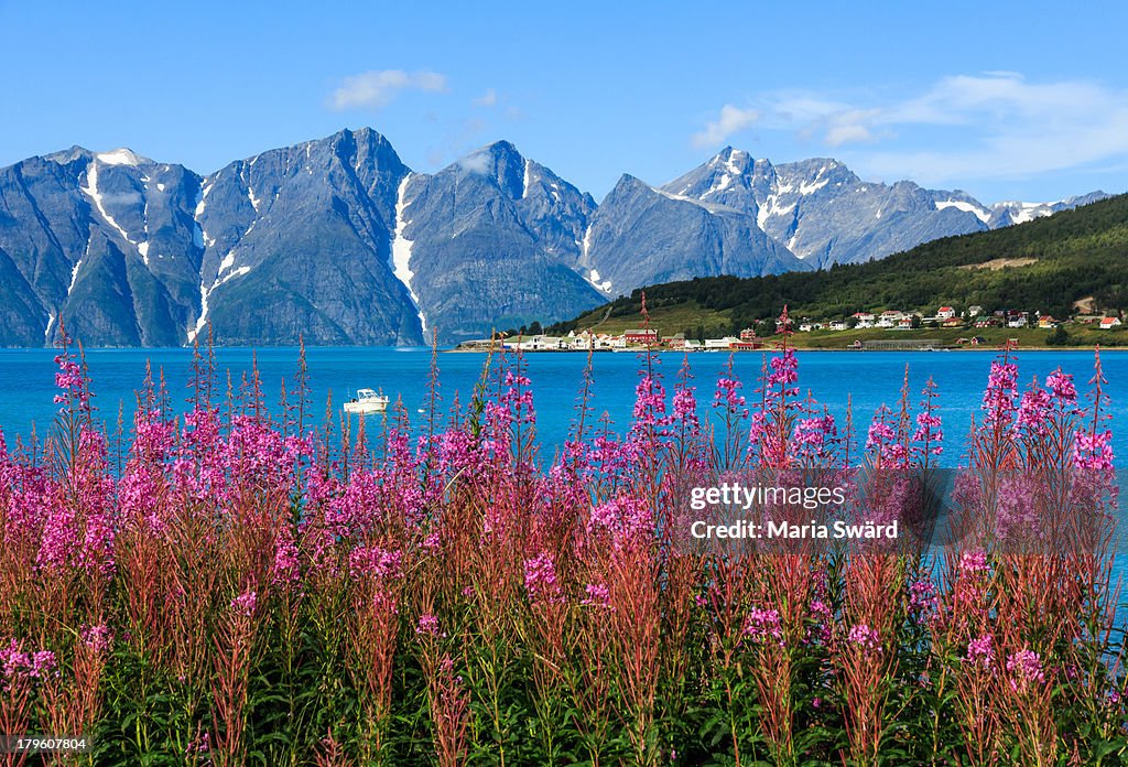 The Lyngen fjord, Troms county, north Norway