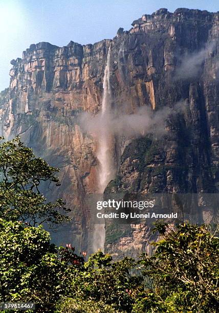 salto angel - angel falls stock pictures, royalty-free photos & images