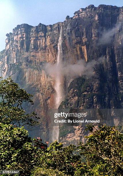 salto angel - angel falls bildbanksfoton och bilder